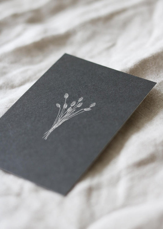 Postkarte PHALARIS GREY
